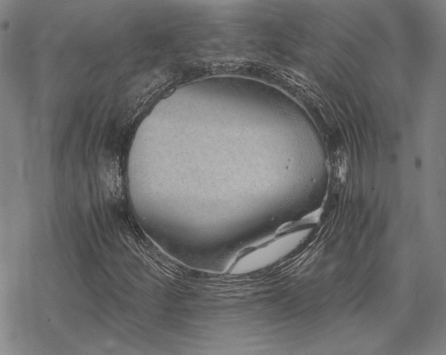 X0000068831252200605051227