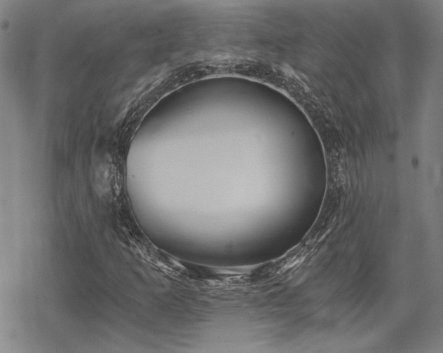 X0000068831253200605051227