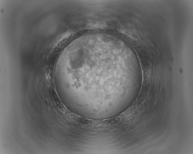 X0000068831254200605051227