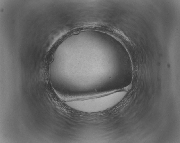 X0000068831256200605051227