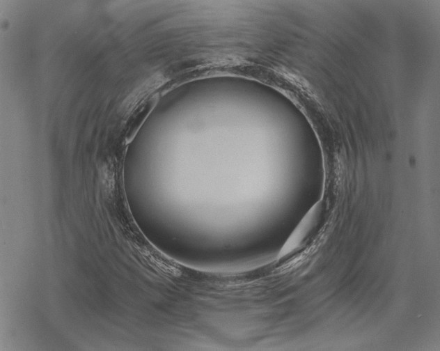 X0000068831257200605051227