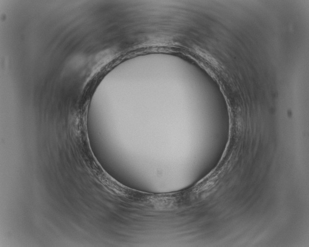 X0000068831258200605051227