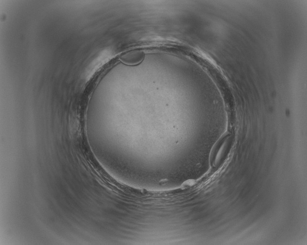 X0000068831259200605051227