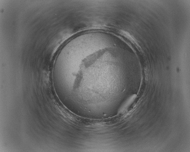 X0000068831260200605051227