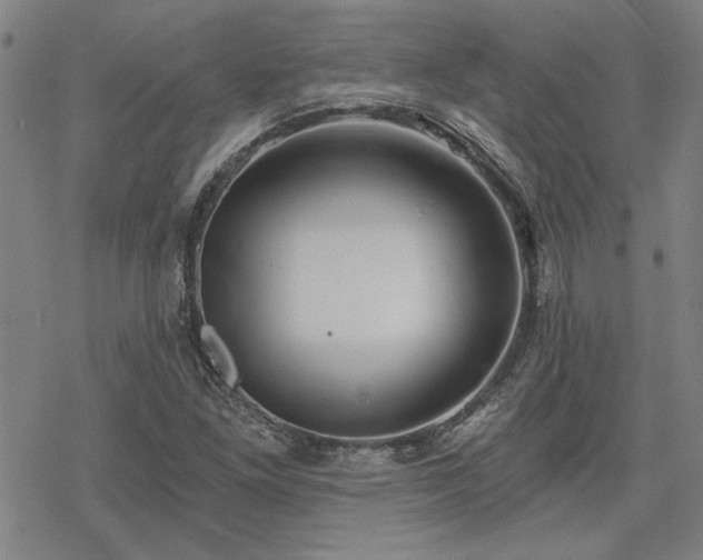 X0000068831261200605051227