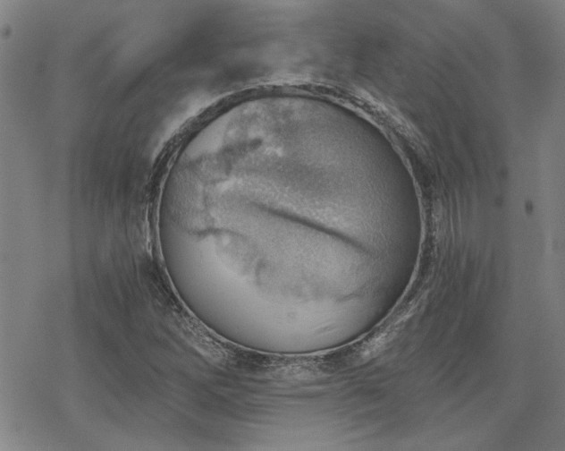 X0000068831262200605051227