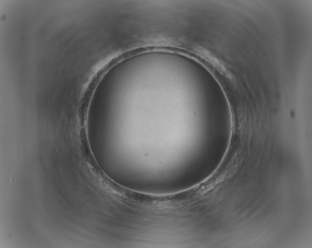 X0000068831264200605051227