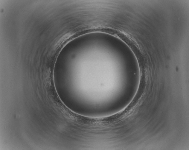 X0000068831265200605051227