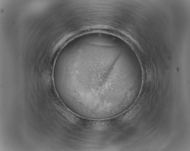 X0000068831266200605051227