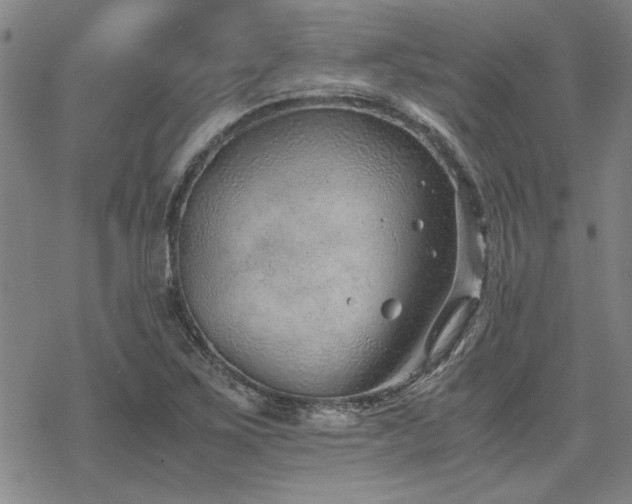 X0000068831267200605051227