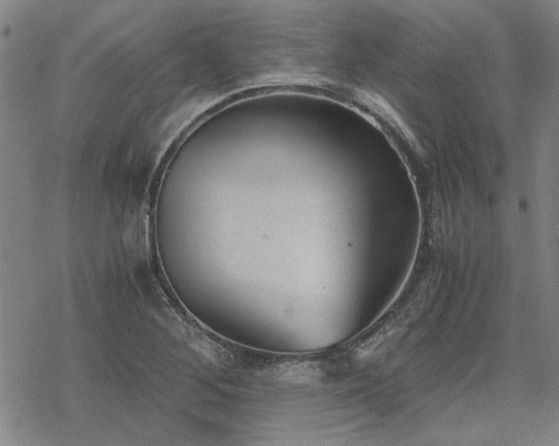 X0000068831268200605051227