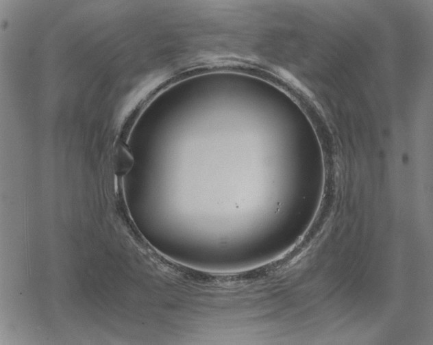 X0000068831269200605051227