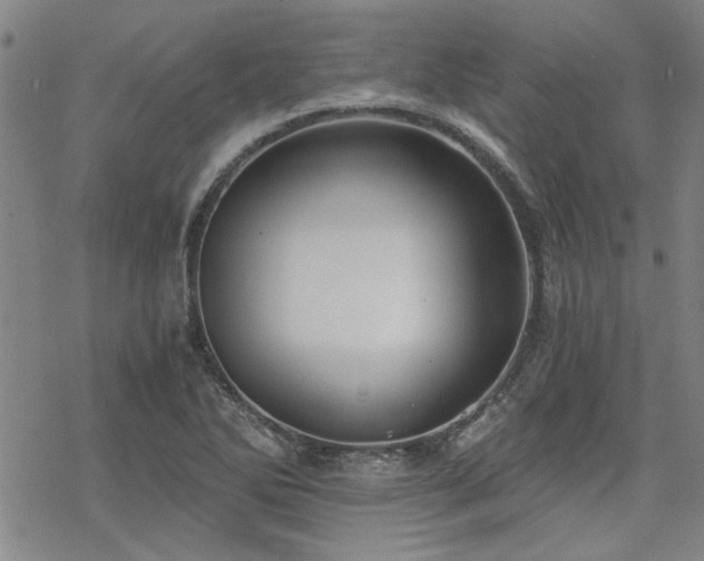 X0000068831270200605051227