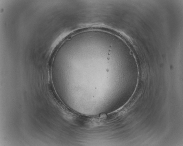 X0000068831271200605051227