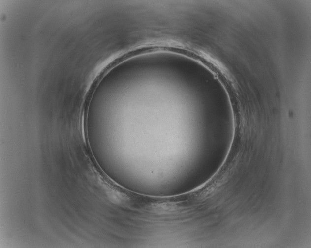 X0000068831272200605051227