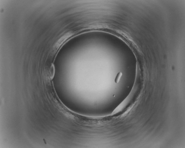 X0000068831273200605051227