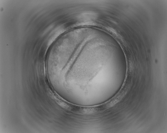 X0000068831274200605051227