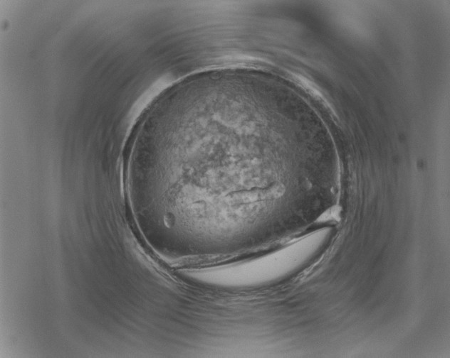 X0000068831275200605051227