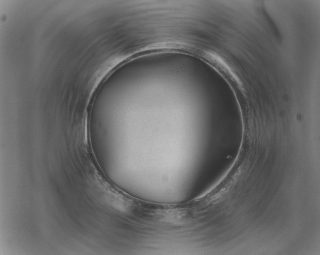 X0000068831276200605051227