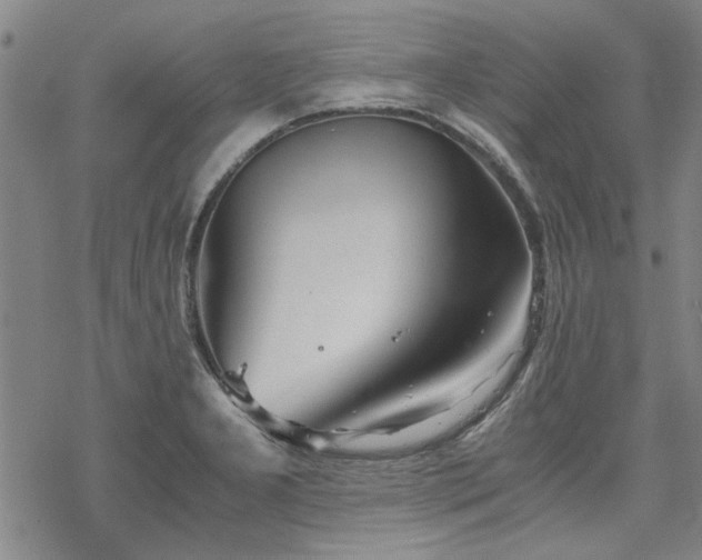 X0000068831277200605051227