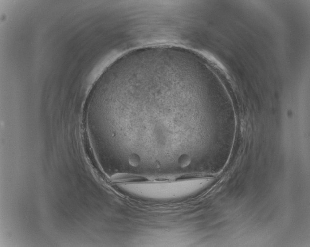 X0000068831279200605051227