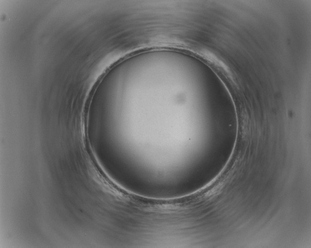 X0000068831280200605051227