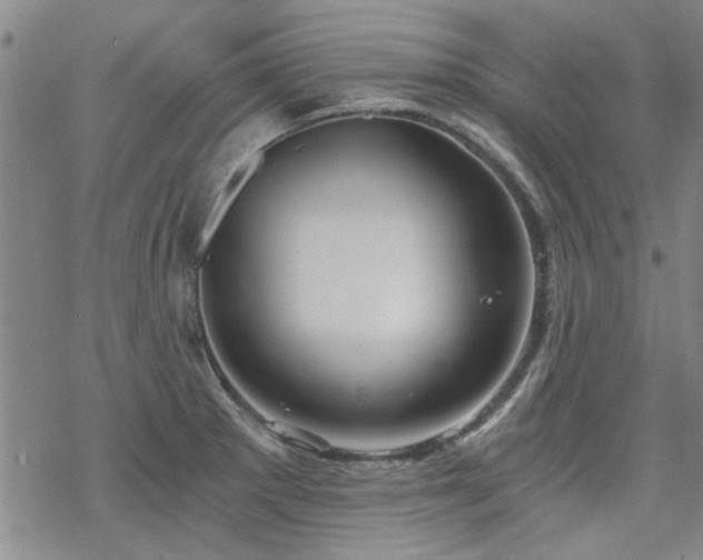 X0000068831281200605051227