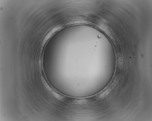 X0000068831282200605051227