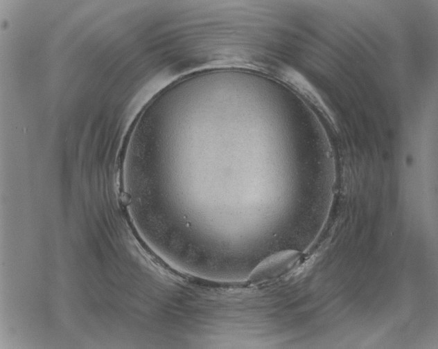 X0000068831284200605051227