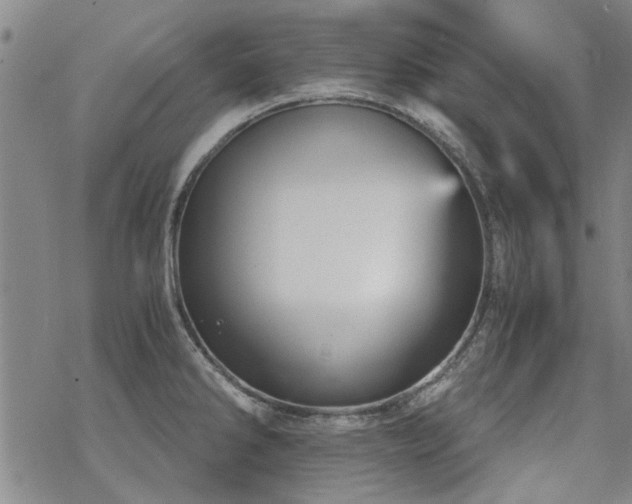 X0000068831286200605051227