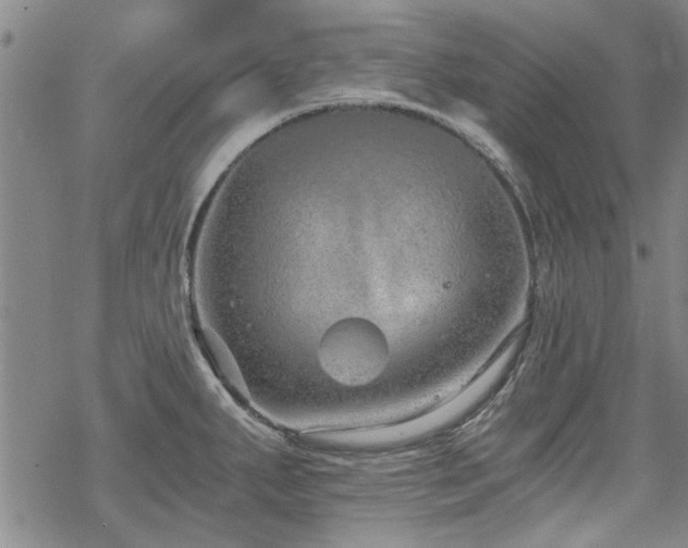 X0000068831287200605051227