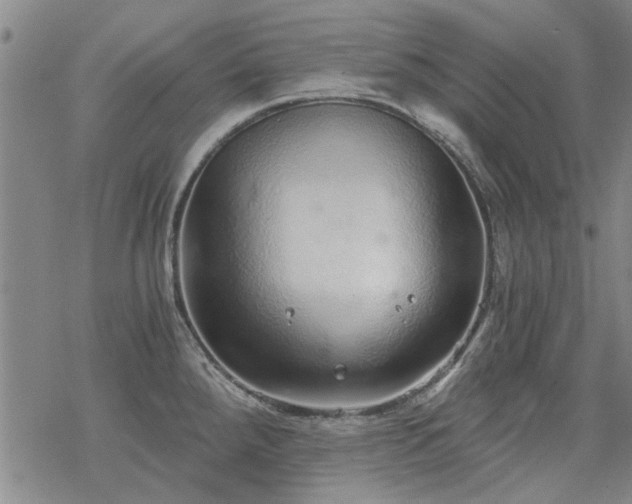 X0000068831288200605051227