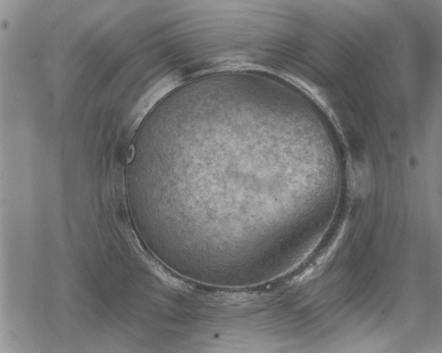 X0000068831289200605051227