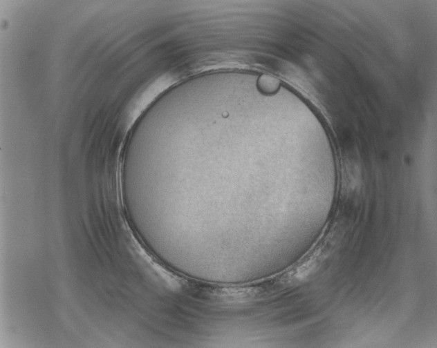 X0000068831290200605051227