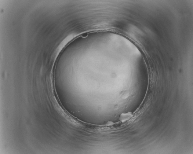 X0000068831291200605051227