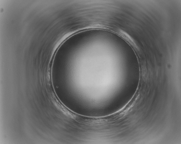 X0000068831292200605051227