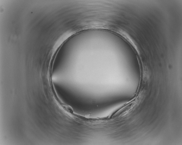 X0000068831293200605051227