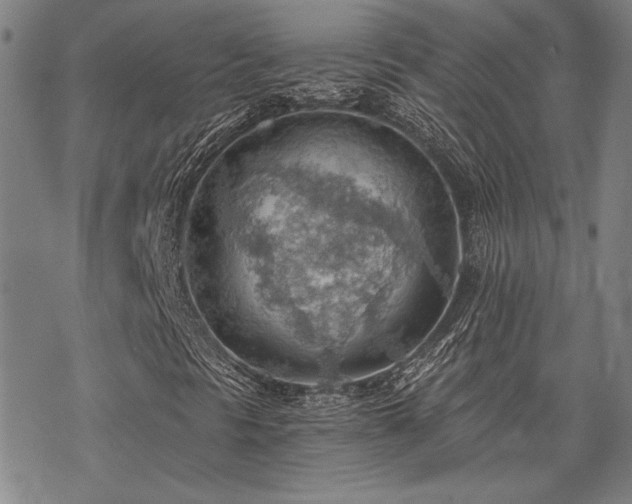 X0000068831297200605051226