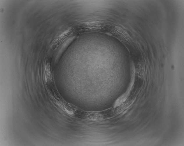 X0000068831298200605051226