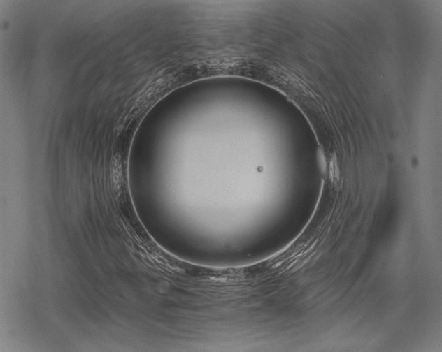 X0000068831299200605051226