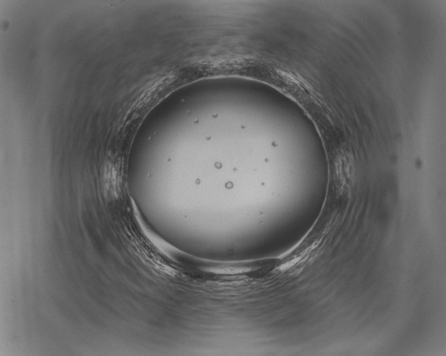 X0000068831300200605051226