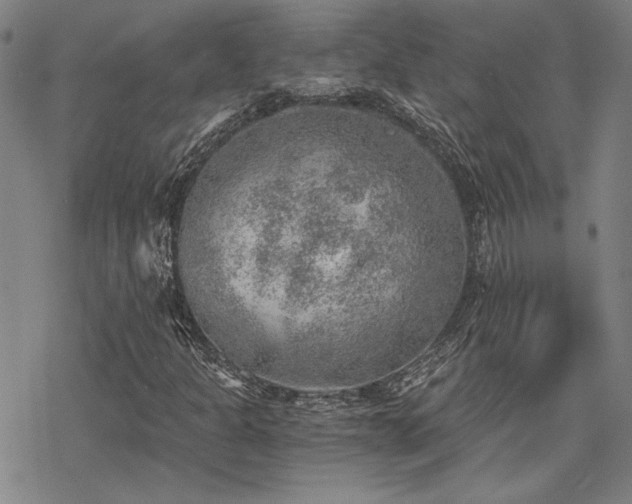 X0000068831301200605051226