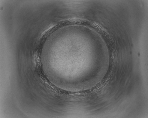 X0000068831302200605051226