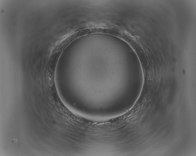 X0000068831303200605051226