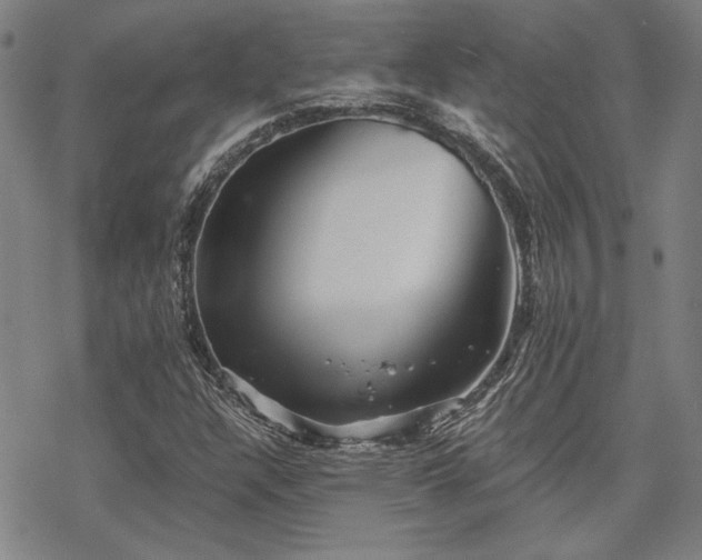 X0000068831304200605051226