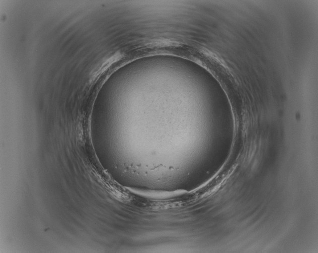 X0000068831305200605051226