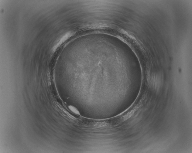 X0000068831306200605051226