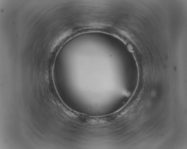 X0000068831307200605051226