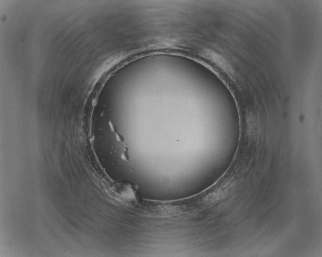 X0000068831308200605051226