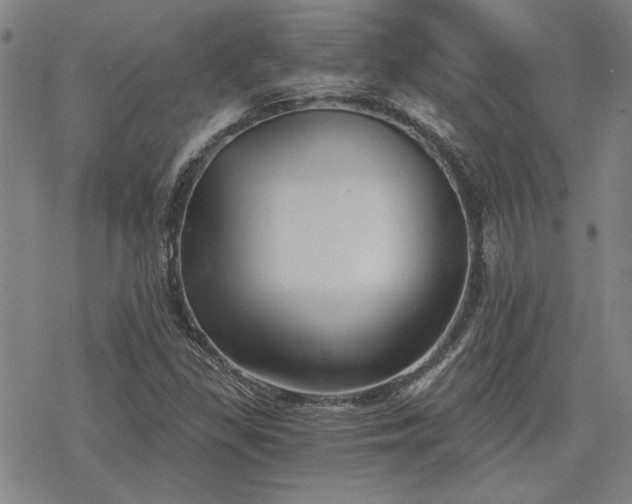 X0000068831309200605051226